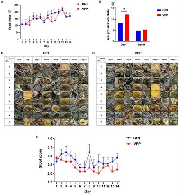 Effects of milk-derived bioactive peptide VPP on diarrhea of pre-weaning calves